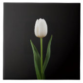 Black 4 Luxe Tile with Pearl White Tulip タイル (正面)
