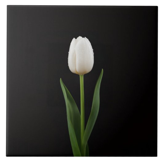 Black 4 Luxe Tile with Pearl White Tulip タイル (正面)