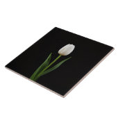 Black 4 Luxe Tile with Pearl White Tulip タイル (側面)