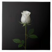 Black 4 Luxe Tile with Pure White Rose タイル (正面)