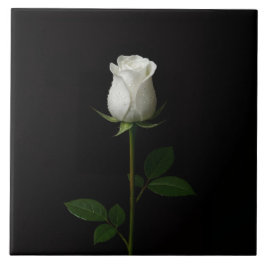 Black 4 Luxe Tile with Pure White Rose タイル