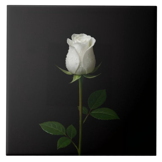 Black 4 Luxe Tile with Pure White Rose タイル (正面)