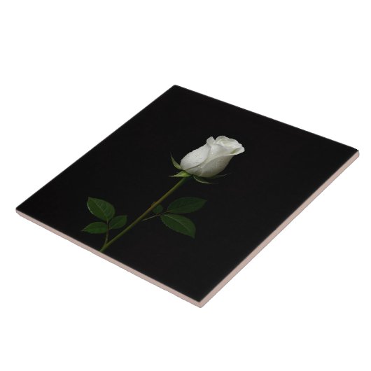 Black 4 Luxe Tile with Pure White Rose タイル (側面)