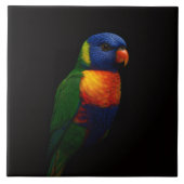 Black 4 Luxe Tile with Rainbow Lorikeet Parrot タイル (正面)
