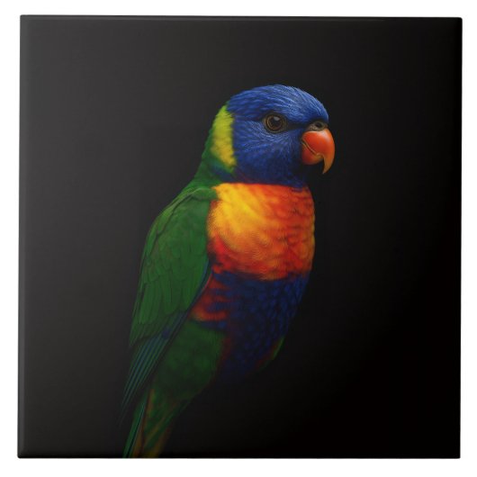 Black 4 Luxe Tile with Rainbow Lorikeet Parrot タイル (正面)