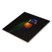 Black 4 Luxe Tile with Rainbow Lorikeet Parrot タイル (側面)