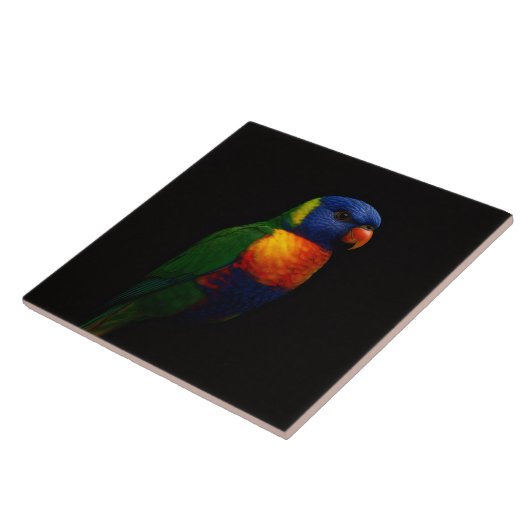 Black 4 Luxe Tile with Rainbow Lorikeet Parrot タイル (側面)