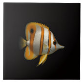 Black 4 Luxe Tile with Reef Butterflyfish タイル (正面)