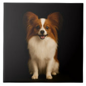 Black 4 Luxe Tile with Refined Toy Papillon タイル (正面)