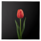 Black 4 Luxe Tile with Ruby Red Tulip タイル (正面)