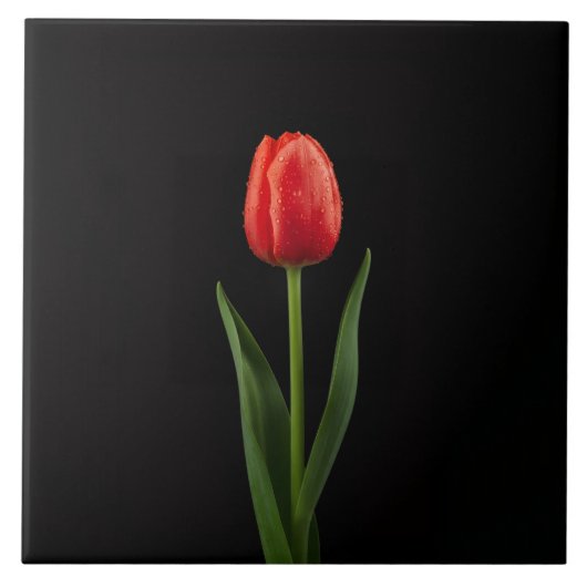 Black 4 Luxe Tile with Ruby Red Tulip タイル (正面)
