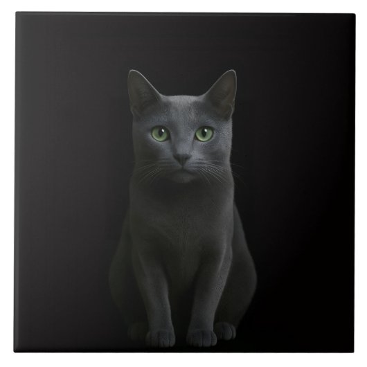 Black 4 Luxe Tile with Russian Blue Cat タイル (正面)