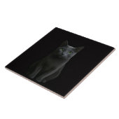 Black 4 Luxe Tile with Russian Blue Cat タイル (側面)