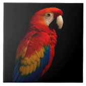 Black 4 Luxe Tile with Scarlet Parrot タイル (正面)
