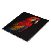 Black 4 Luxe Tile with Scarlet Parrot タイル (側面)