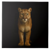 Black 4 Luxe Tile with Silent Prime Puma タイル (正面)