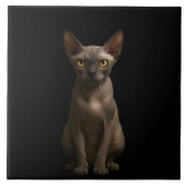 Black 4 Luxe Tile with Sphynx Cat タイル (正面)