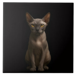 Black 4 Luxe Tile with Sphynx Cat タイル