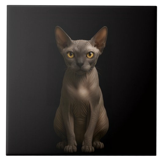 Black 4 Luxe Tile with Sphynx Cat タイル (正面)