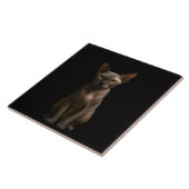 Black 4 Luxe Tile with Sphynx Cat タイル (側面)