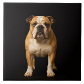 Black 4 Luxe Tile with Stamina Bulldog タイル (正面)