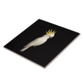 Black 4 Luxe Tile with Sulphur Crested Cockatoo タイル (側面)