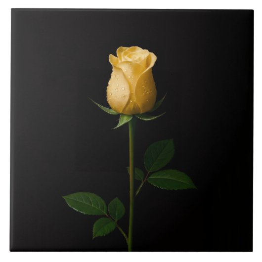 Black 4 Luxe Tile with Sunlit Yellow Rose タイル (正面)