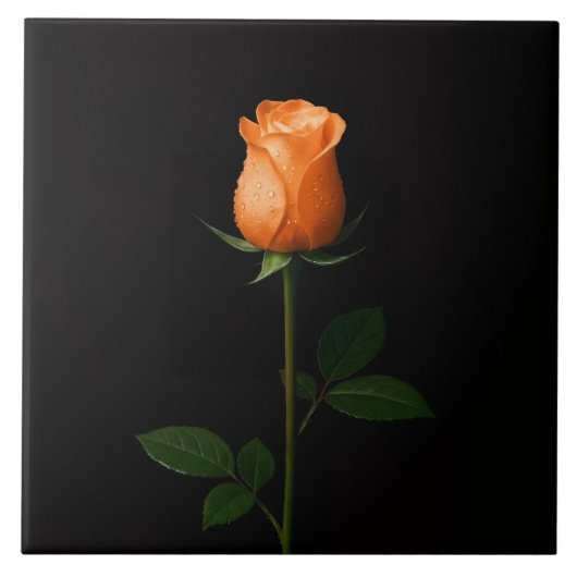 Black 4 Luxe Tile with Sunset Orange Rose タイル (正面)