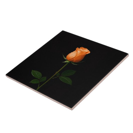 Black 4 Luxe Tile with Sunset Orange Rose タイル (側面)
