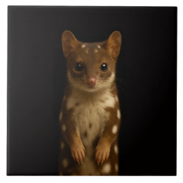 Black 4 Luxe Tile with Sweet Quoll タイル