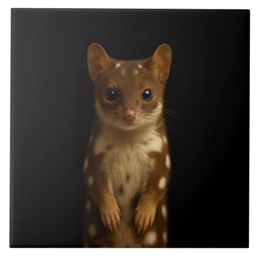 Black 4 Luxe Tile with Sweet Quoll タイル (正面)