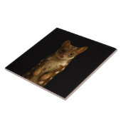 Black 4 Luxe Tile with Sweet Quoll タイル (側面)