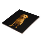 Black 4 Luxe Tile with Tender Labrador タイル (側面)