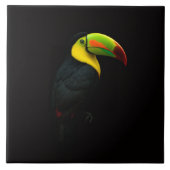 Black 4 Luxe Tile with tropical Keel Billed Tucan タイル (正面)