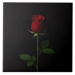 Black 4 Luxe Tile with Velvet Red Rose タイル