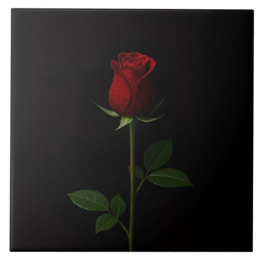 Black 4 Luxe Tile with Velvet Red Rose タイル (正面)