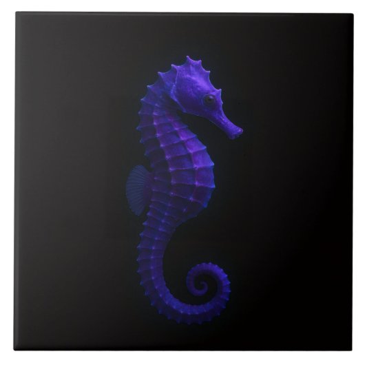 Black 4 Luxe Tile with Violet Blue Seahorse タイル (正面)