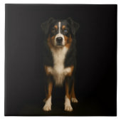 Black 4 Luxe Tile with Wise Australian Shepherd タイル (正面)