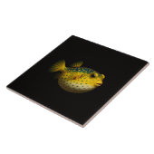 Black 4 Luxe Tile with Yellow Putterfish タイル (側面)