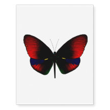 Black and Red Butterfly Temporary Tattoo