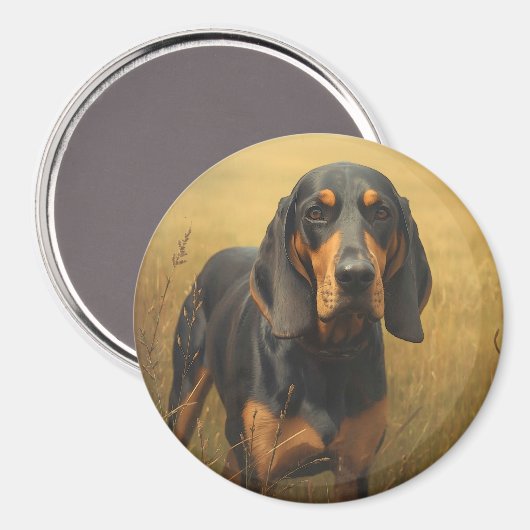 Black and Tan Coonhound マグネット (正面/裏面)