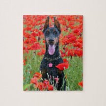 Black and Tan Doberman Pinscher in Red Flowers