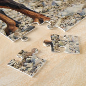 Black and Tan Doberman Pinscher on the shoreline ジグソーパズル (側面)