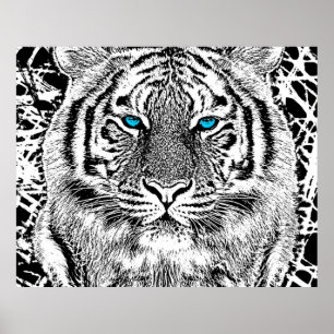 Black And White Blue Eyes Tiger Graphic ポスター