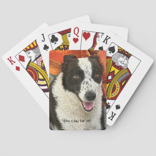 Black and White Border Collie Playing Cards トランプ (裏面)