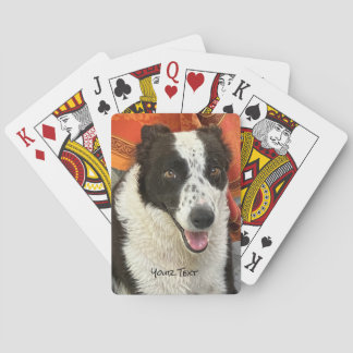 Black and White Border Collie Playing Cards トランプ