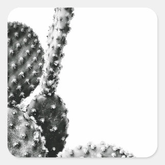 Black and White Cactus Zwart en Wit スクエアシール