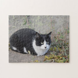 Black and White Cat Jigsaw Puzzle ジグソーパズル