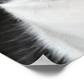 Black and White Cat Portrait ポスター (角)