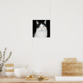 Black and White Cat Portrait ポスター (キッチン)